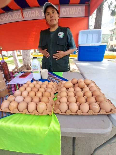 Huevos de Gallinas de Pastoreo