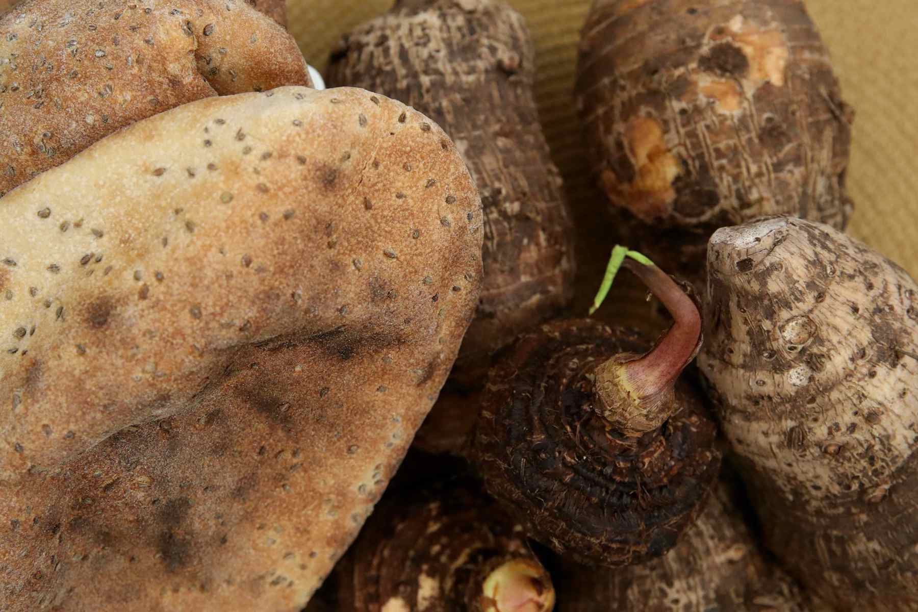 Pituca