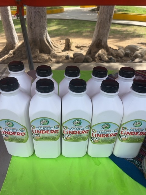 Yogurt Probiótico Natural