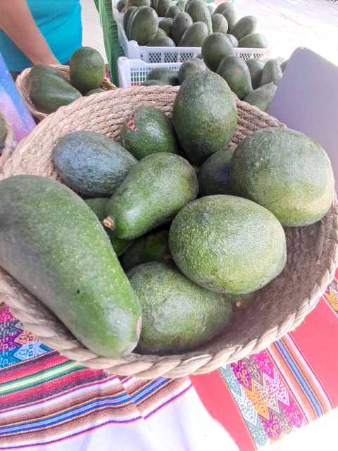 Palta Fuerte