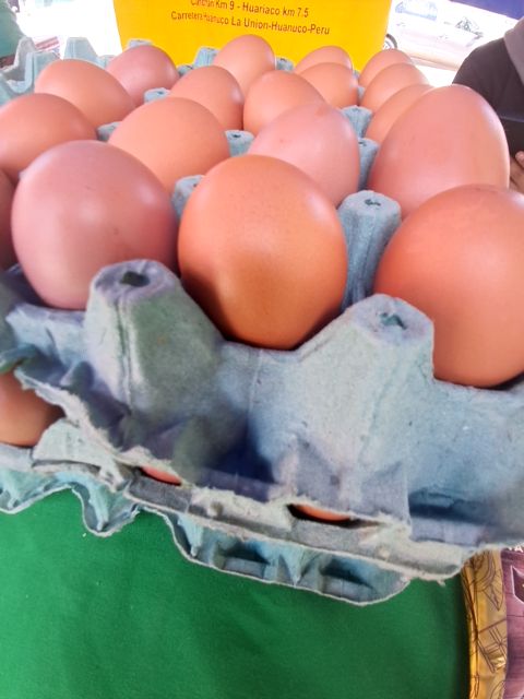 Huevos Libre pastoreo Ecologicos