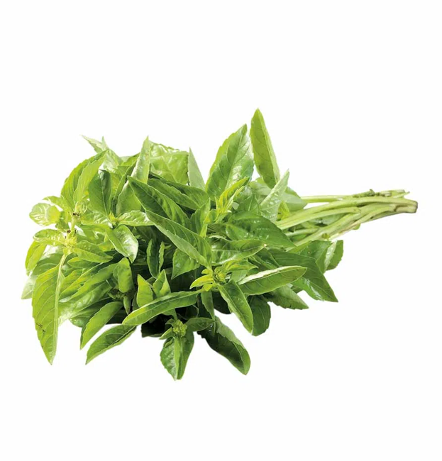 Albahaca