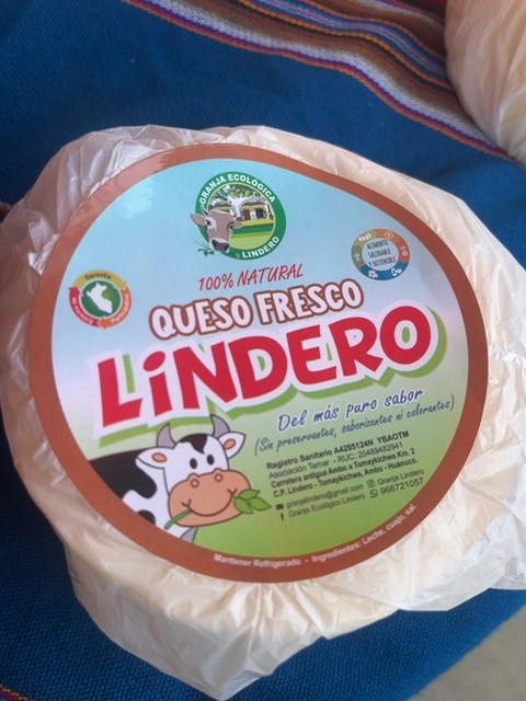 Queso Fresco Pasteurizado Natural 600g