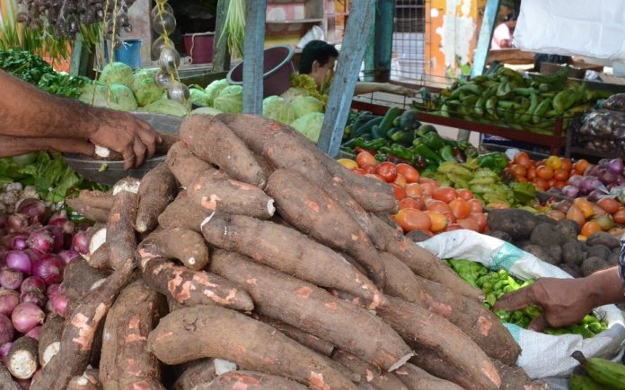 Yuca